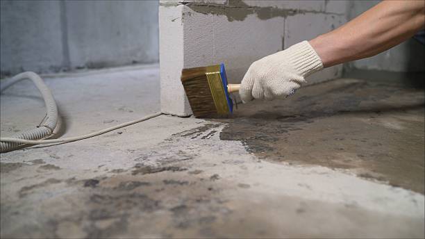 24/7 Emergency Wet Basement Repair experts in Red Bank, TN